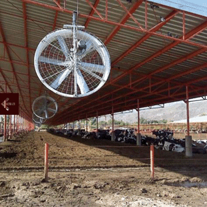 Panel fans