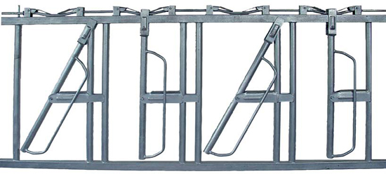 Free Stalls