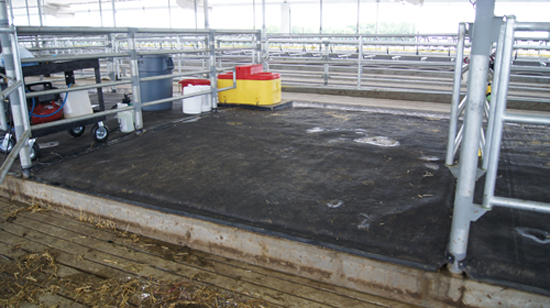 Maternity stalls