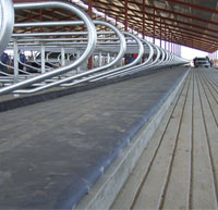 Cow Mattresses