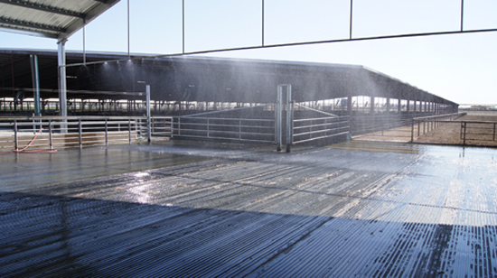 rubber flooring
