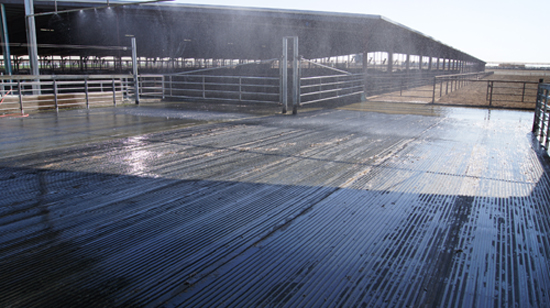 rubber flooring