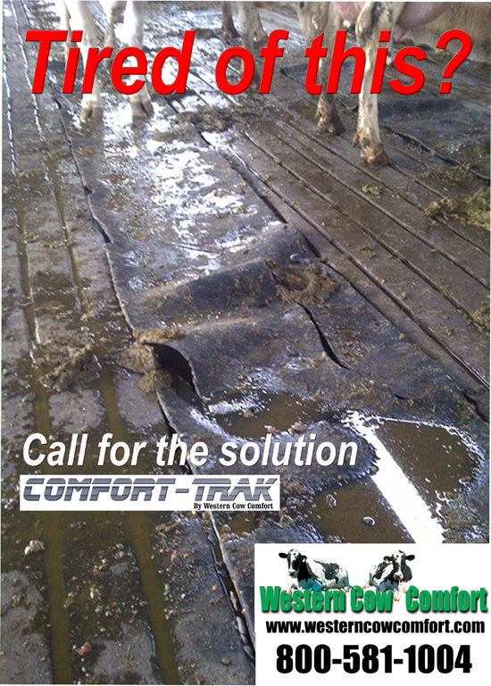 rubber flooring