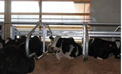 VES free stalls