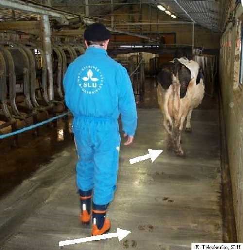 rubber flooring
