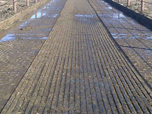 rubber flooring